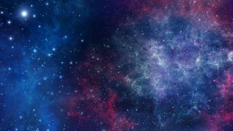 Stardust Gardens